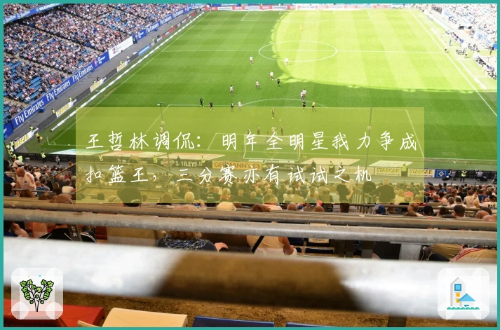 王哲林调侃：明年全明星我力争成扣篮王，三分赛亦有试试之机