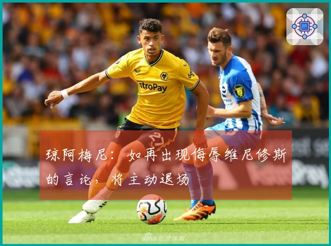 琼阿梅尼：如再出现侮辱维尼修斯的言论，将主动退场